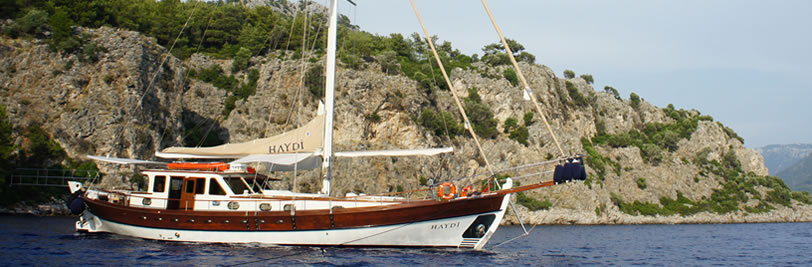 Haydi Boat-Tirhandil-Banner5